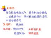 冀教版八年级上册 生物 课件 3.4.1呼吸作用