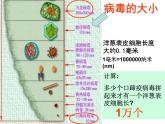 冀教版八年级上册 生物 课件 5.1.2 病毒1