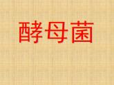 冀教版八年级上册 生物 课件 5.2.1酵母菌和霉菌