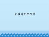 冀教版八年级上册 生物 课件 3.3.2光合作用的原料