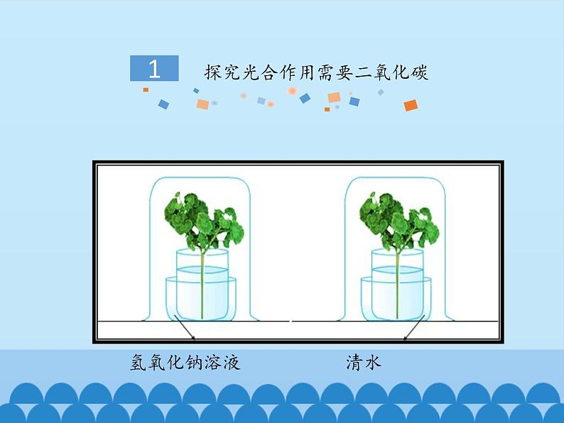 冀教版八年级上册 生物 课件 3.3.2光合作用的原料第5页