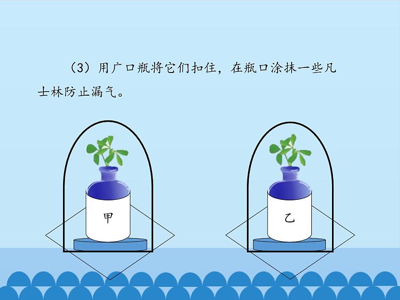 冀教版八年级上册 生物 课件 3.3.2光合作用的原料第8页