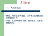 冀教版八年级上册 生物 课件 3.2.2根对水分的吸收