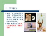 冀教版八年级上册 生物 课件 3.2.2根对水分的吸收