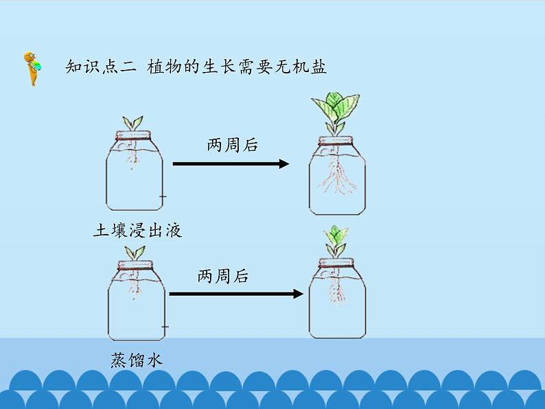 无机盐与植物的生长PPT课件免费下载07