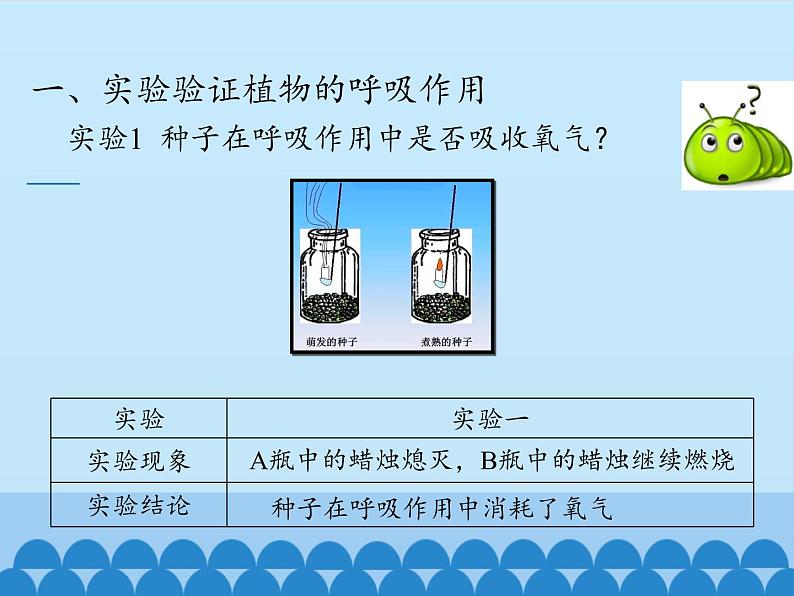 呼吸作用PPT课件免费下载06