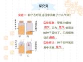 冀教版八年级上册 生物 课件 3.1.2种子萌发的条件