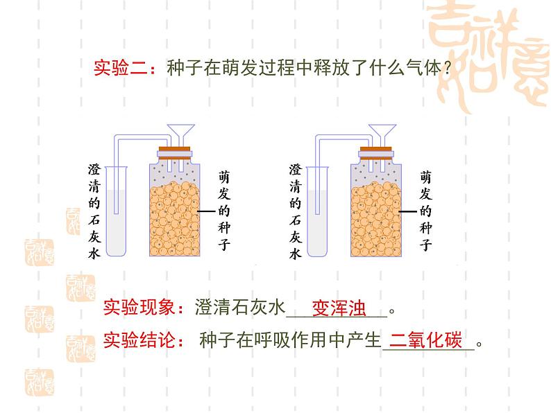 冀教版八年级上册 生物 课件 3.1.2种子萌发的条件05