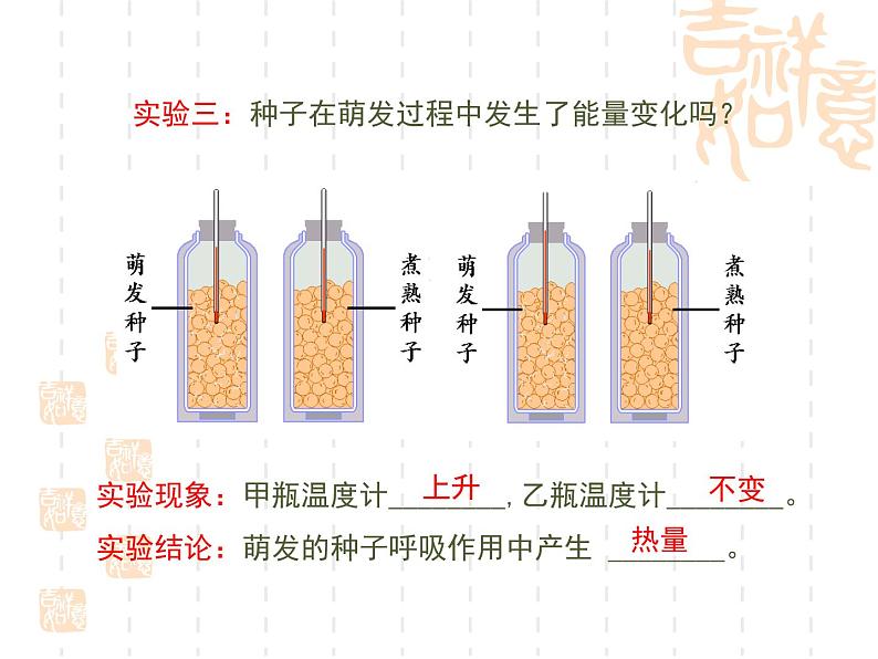 冀教版八年级上册 生物 课件 3.1.2种子萌发的条件06