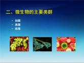 冀教版八年级上册 生物 课件 5.4微生物在生物圈中的作用