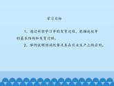 芽的发育PPT课件免费下载