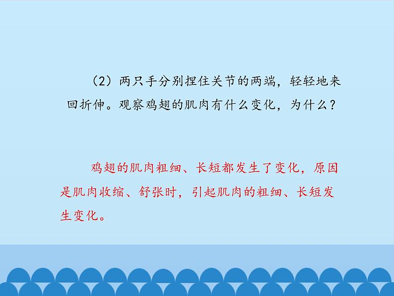 冀教版八年级上册 生物 课件 4.1.2运动的完成06