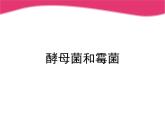 冀教版八年级上册 生物 课件 5.2.1酵母菌和霉菌