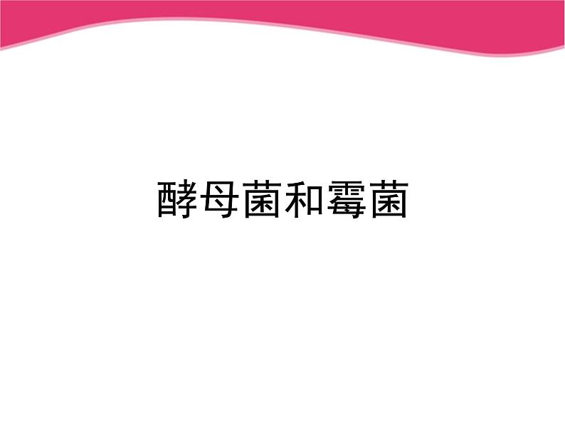 冀教版八年级上册 生物 课件 5.2.1酵母菌和霉菌01