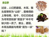 冀教版八年级上册 生物 课件 5.2.2食用真菌