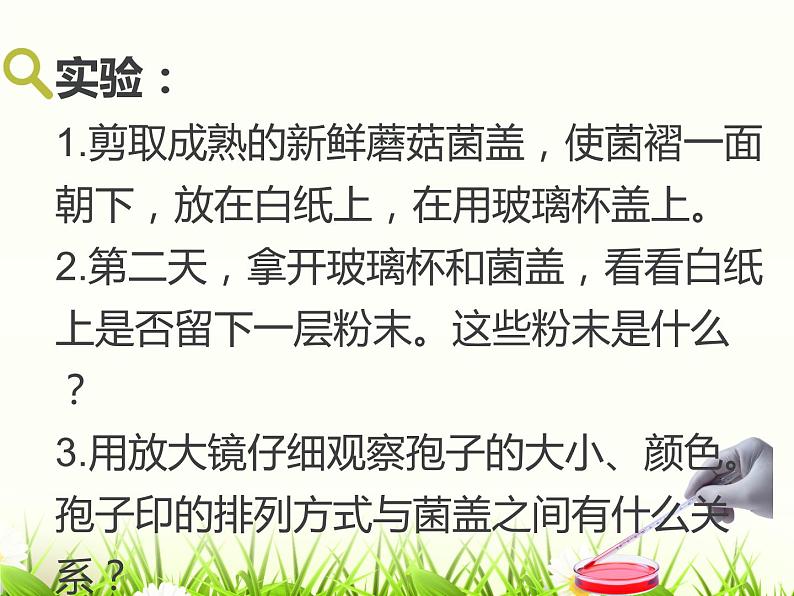 冀教版八年级上册 生物 课件 5.2.2食用真菌04