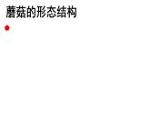 食用真菌PPT课件免费下载