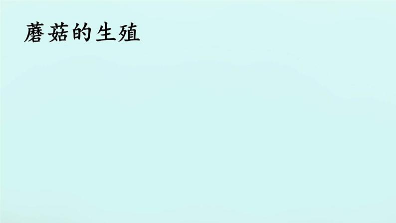 冀教版八年级上册 生物 课件 5.2.2食用真菌1第3页