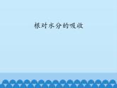 冀教版八年级上册 生物 课件 3.2.2根对水分的吸收