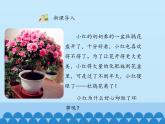 冀教版八年级上册 生物 课件 3.2.2根对水分的吸收