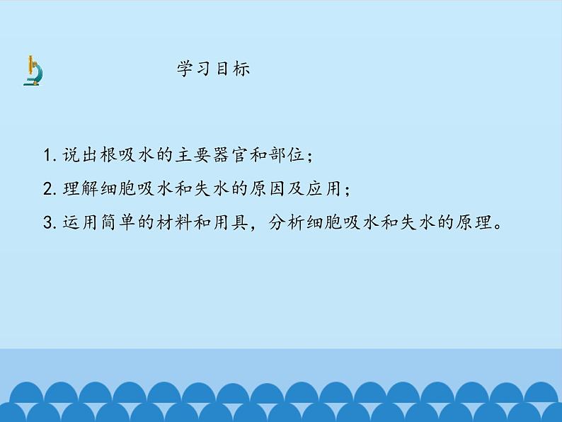 冀教版八年级上册 生物 课件 3.2.2根对水分的吸收04