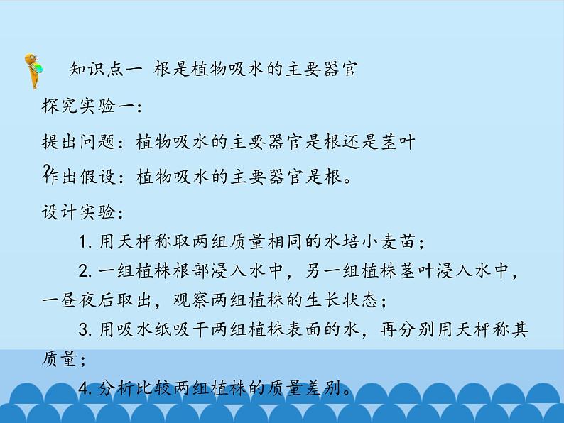 冀教版八年级上册 生物 课件 3.2.2根对水分的吸收05