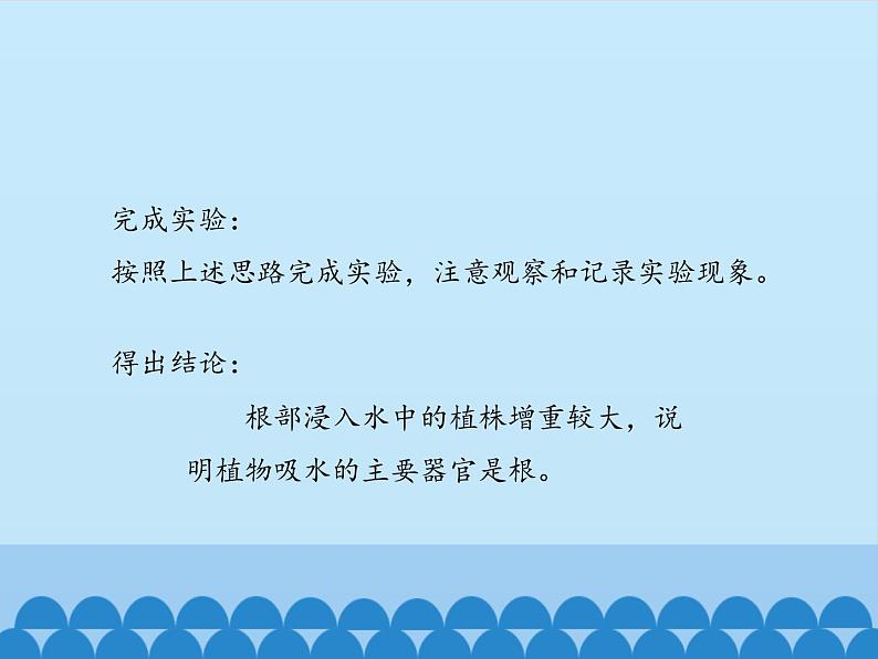 冀教版八年级上册 生物 课件 3.2.2根对水分的吸收06