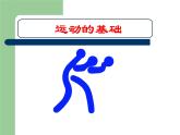 冀教版八年级上册 生物 课件 4.1.1运动的基础