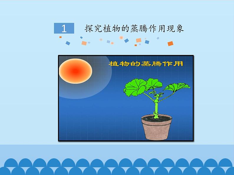 蒸腾作用PPT课件免费下载05