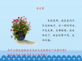 光合作用的产物PPT课件免费下载