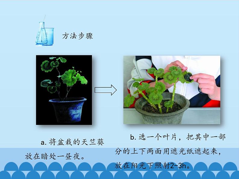 光合作用的产物PPT课件免费下载08