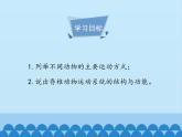 运动的基础PPT课件免费下载