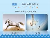 运动的基础PPT课件免费下载