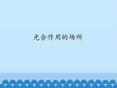 冀教版八年级上册 生物 课件 3.3.3光合作用的场所