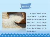 冀教版八年级上册 生物 课件 3.3.3光合作用的场所