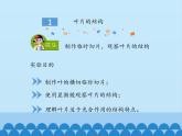 冀教版八年级上册 生物 课件 3.3.3光合作用的场所