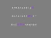 根对水分的吸收PPT课件免费下载