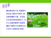 光合作用的场所PPT课件免费下载