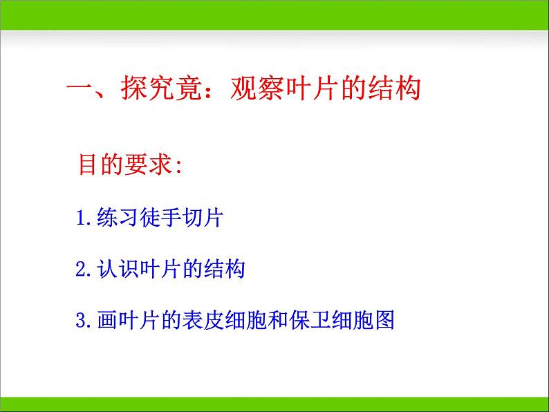 冀教版八年级上册 生物 课件 3.3.3光合作用的场所第3页