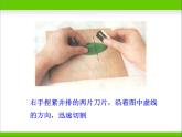 光合作用的场所PPT课件免费下载
