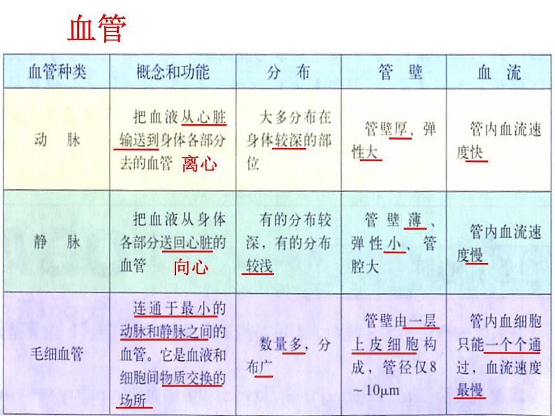 第五章第二节《人体内物质的运输》课件PPT08