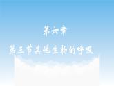 第六章第三节《其他生物的呼吸  》课件