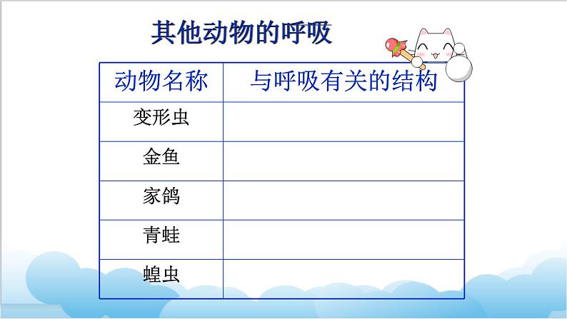 第六章第三节《其他生物的呼吸  》课件第4页