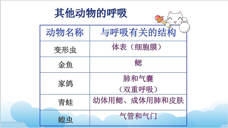 第六章第三节《其他生物的呼吸  》课件第5页