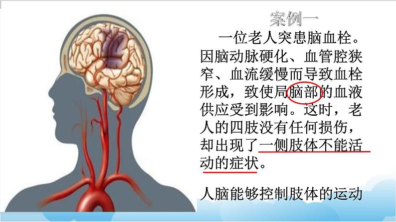 第八章第一节 《神经系统的组成》 课件第4页