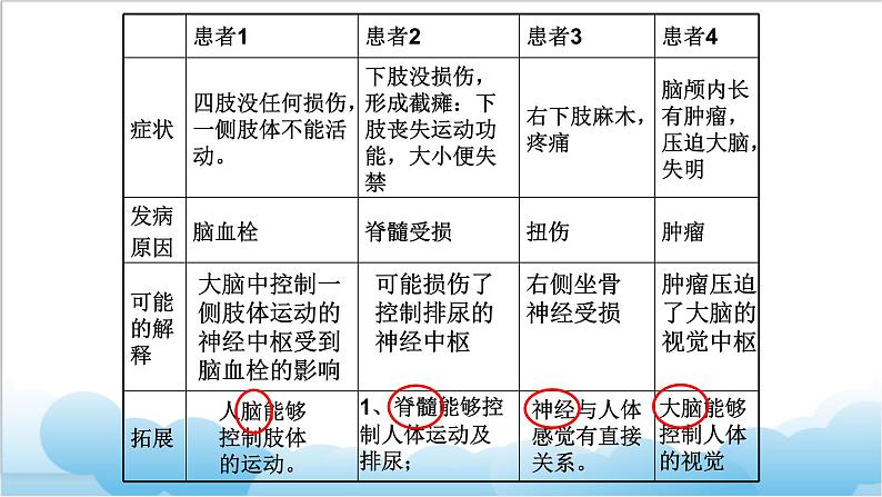 第八章第一节 《神经系统的组成》 课件第8页