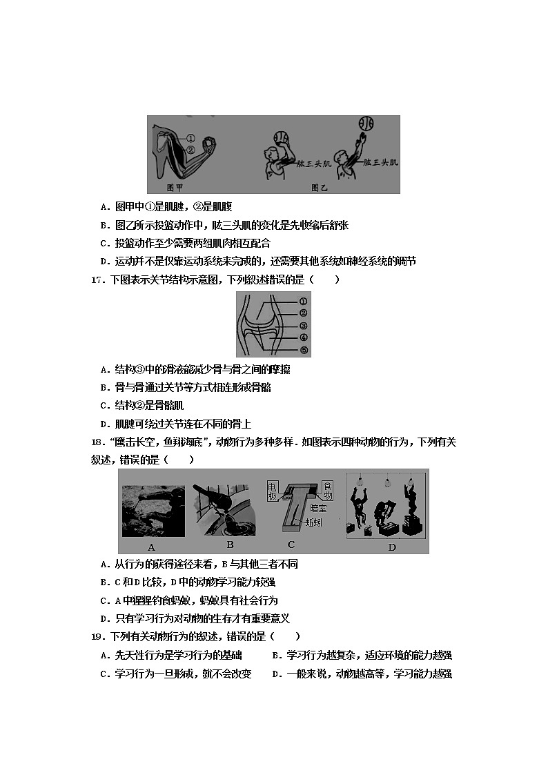 河北省邯郸市永年区2021-2022学年八年级上学期期中考试生物【试卷+答案】03
