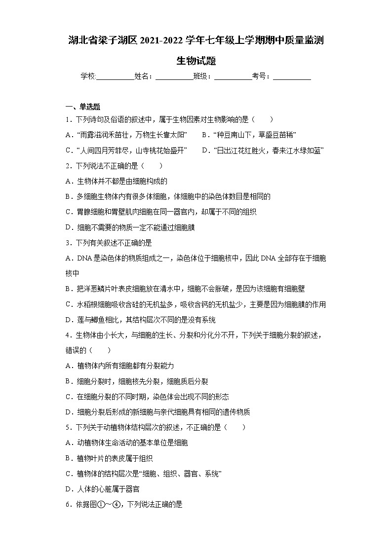 湖北省梁子湖区2021-2022学年七年级上学期期中质量监测生物试题（word版 含答案）01