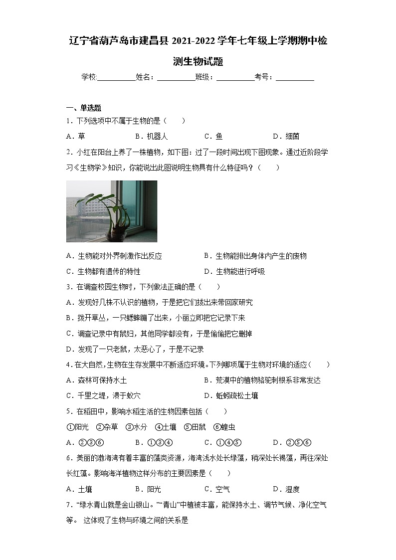 辽宁省葫芦岛市建昌县2021-2022学年七年级上学期期中检测生物试题（word版 含答案）01