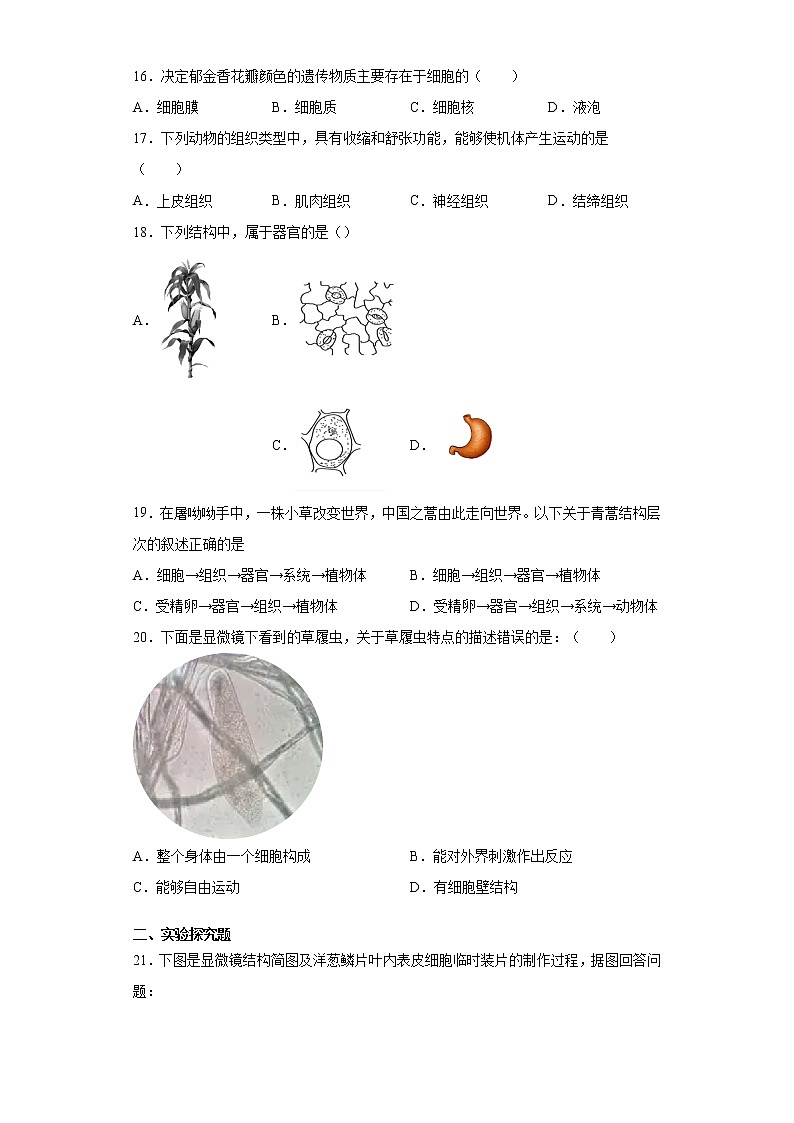 辽宁省葫芦岛市建昌县2021-2022学年七年级上学期期中检测生物试题（word版 含答案）03